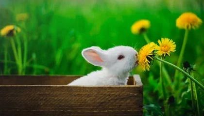 bob半岛体育平台-leyu-乐鱼：在海风般的体验里，遇见更精致的日常